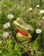 restaurant-schwaebischhall-saal160personen-veranstaltung